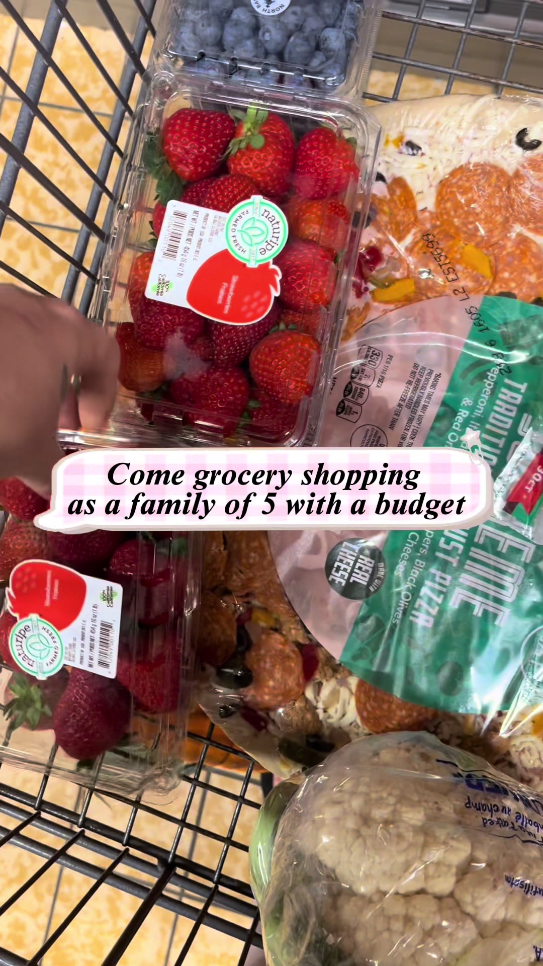Come with me and my family to #aldifinds #aldi @Aldi Grocery Store #groceryshopping #budgeting