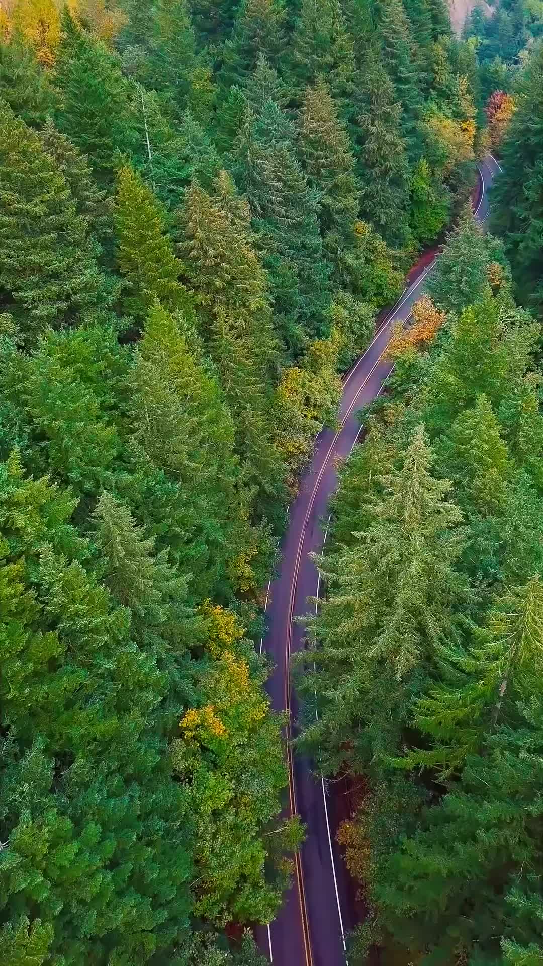 #nature #roadtrip