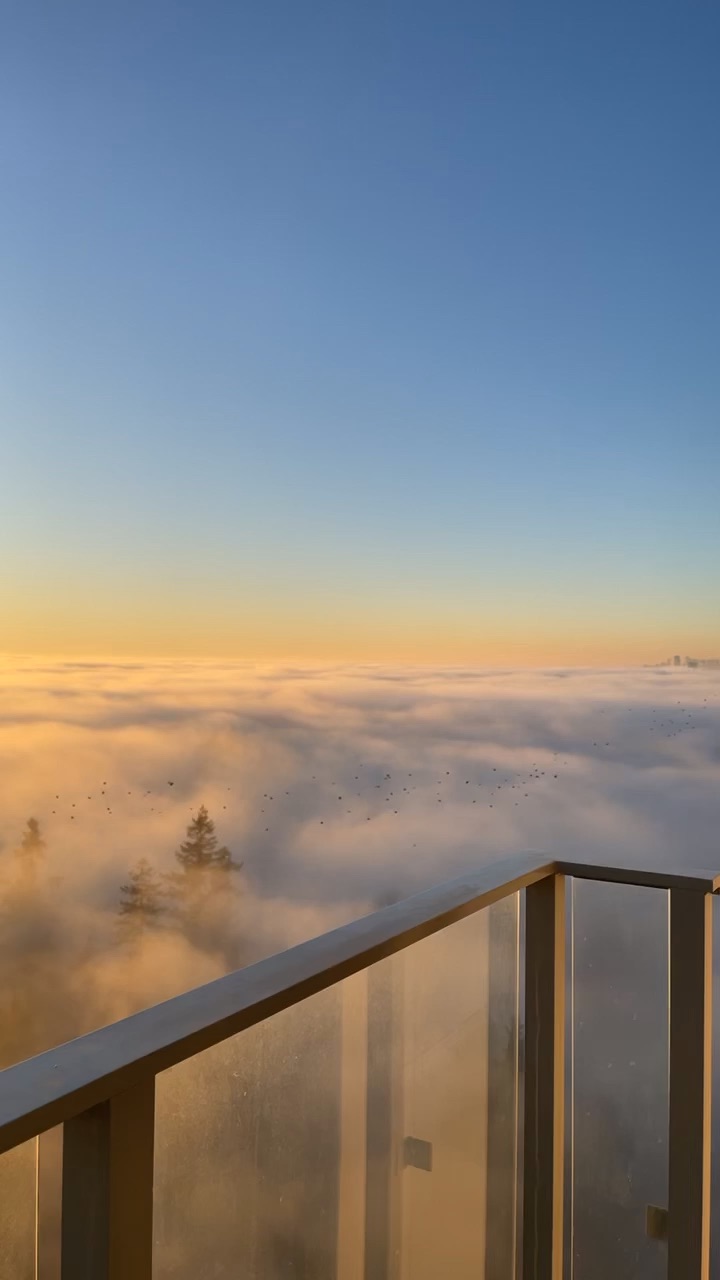 Balcony views