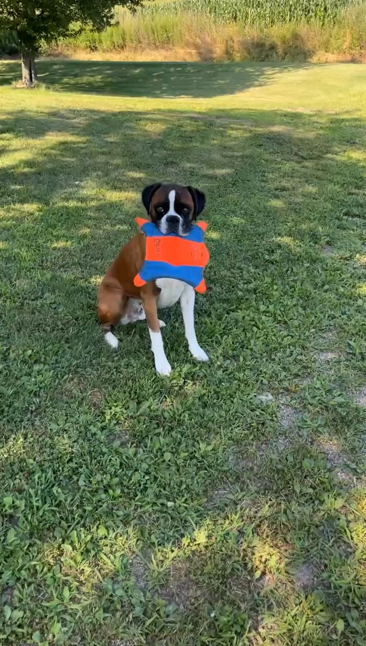 Live Long, Good Boys