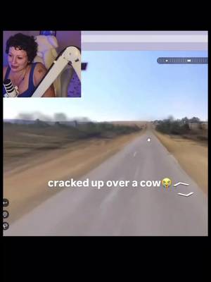what did the cow do man #vanillamace #twitch #streamer #geoguess #cow