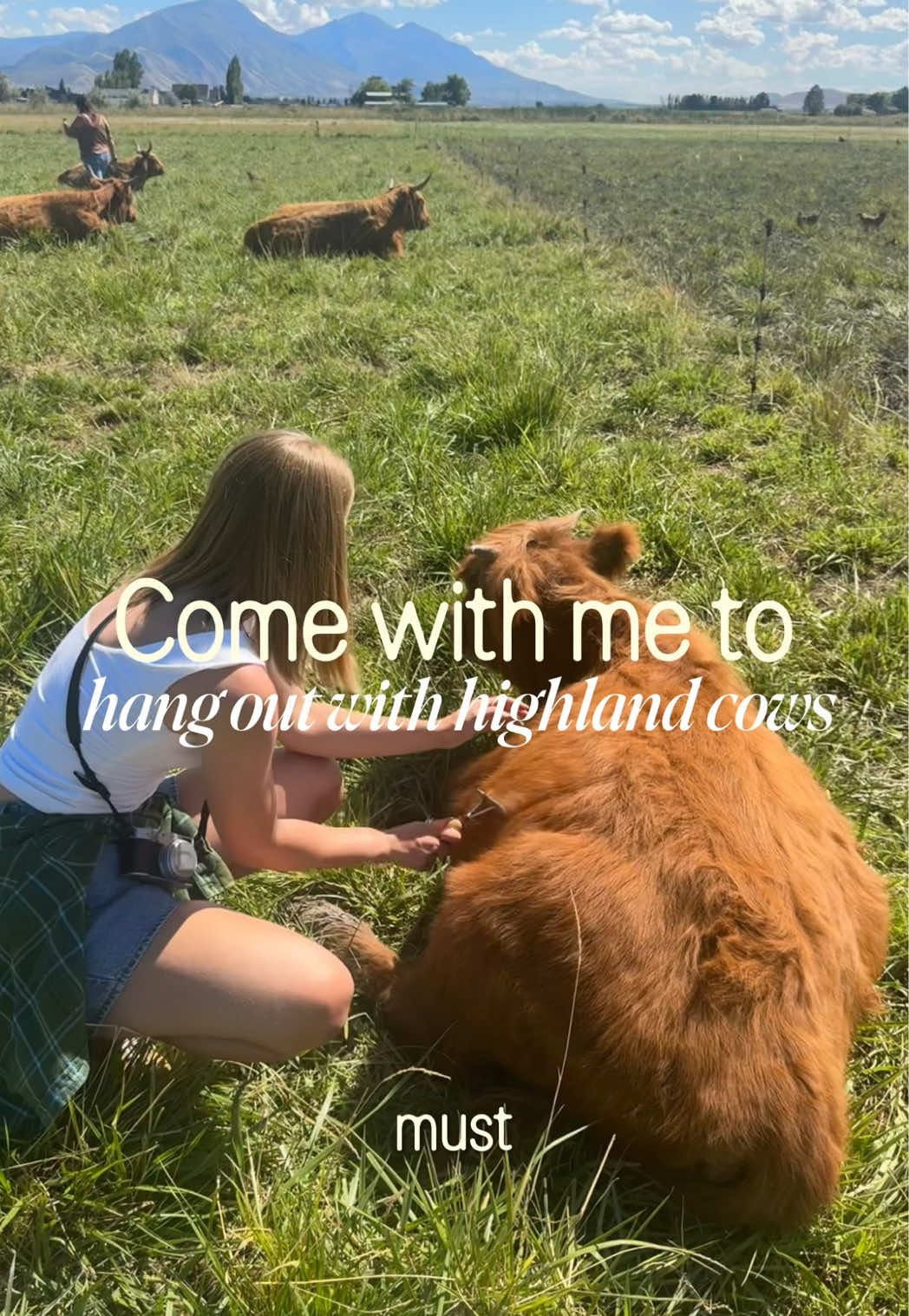 A birthday surprise I didn’t know I needed 🤎🐮 @UtahCowCuddle at Fold of Liberty Farms was such a fun and unique exp...