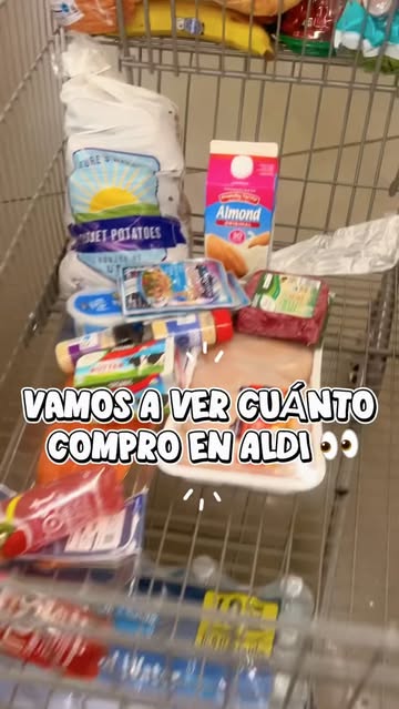 ¿Todavía se puede hacer una compra decente con menos de $100? 👀🛒 Hoy me fui a Aldi con un presupuesto de $100 inten...