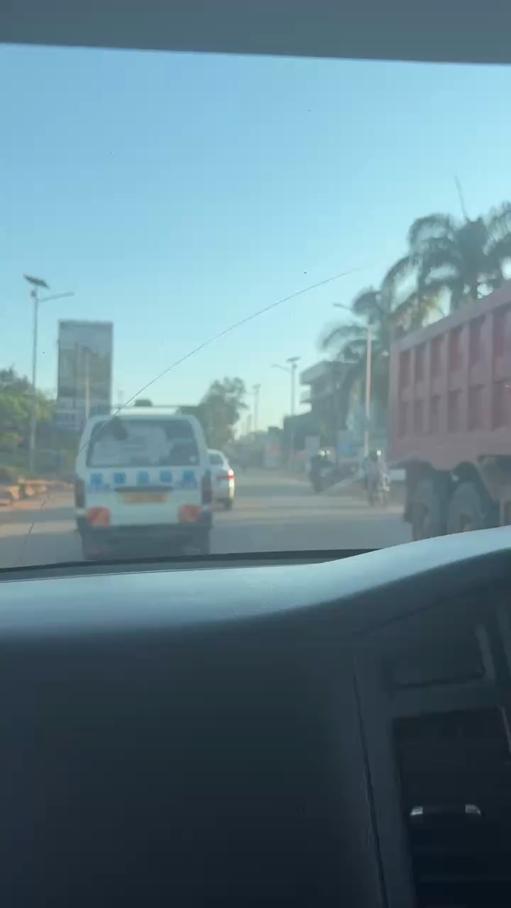 The cow in traffic in Uganda