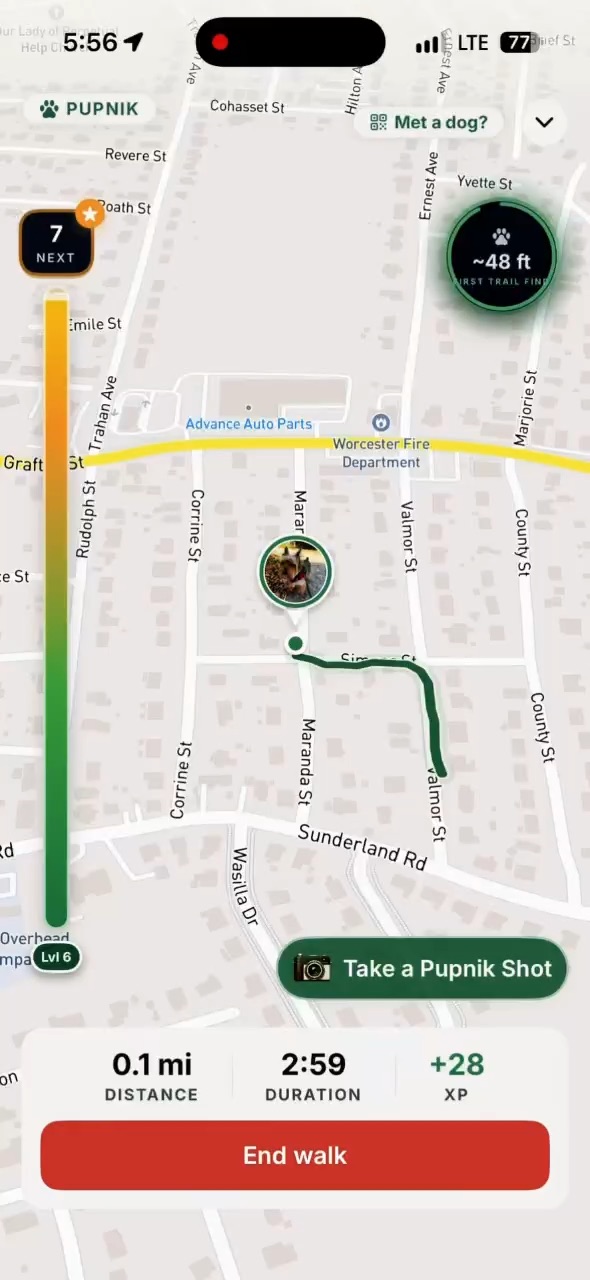 Dog walking app
