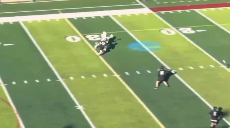 Lacrosse Goal