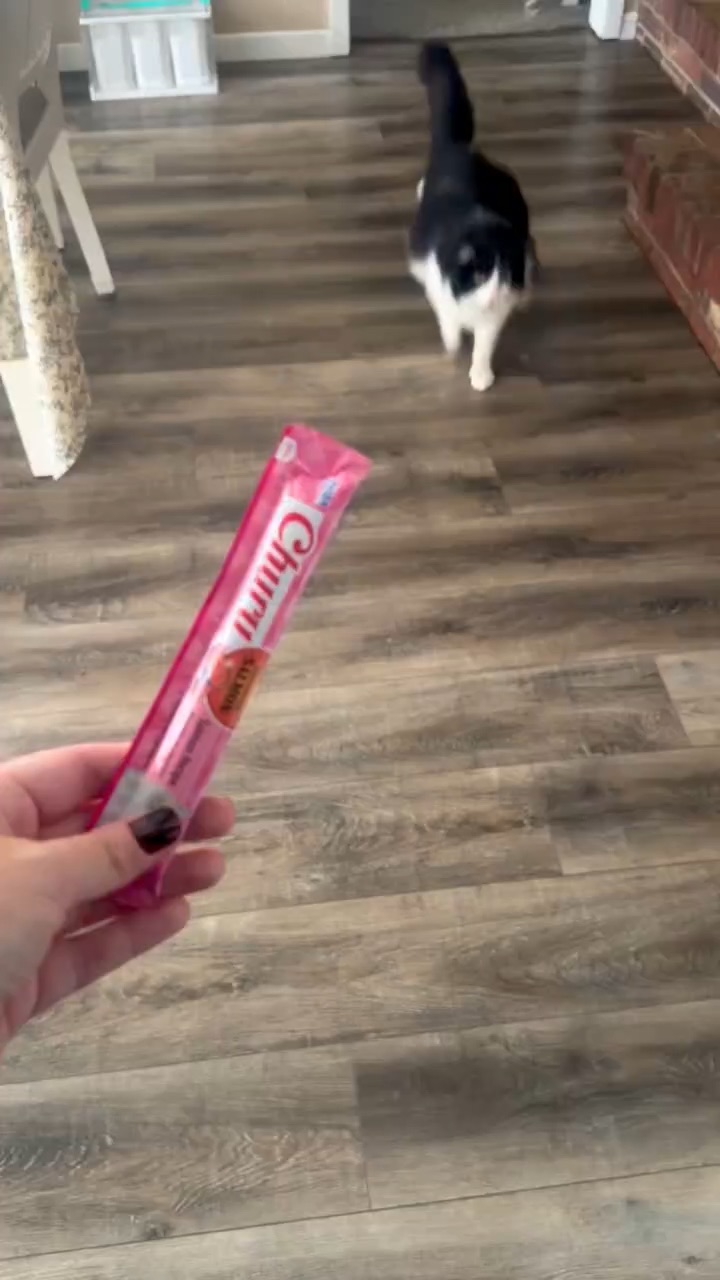 Churu Cat Treats
