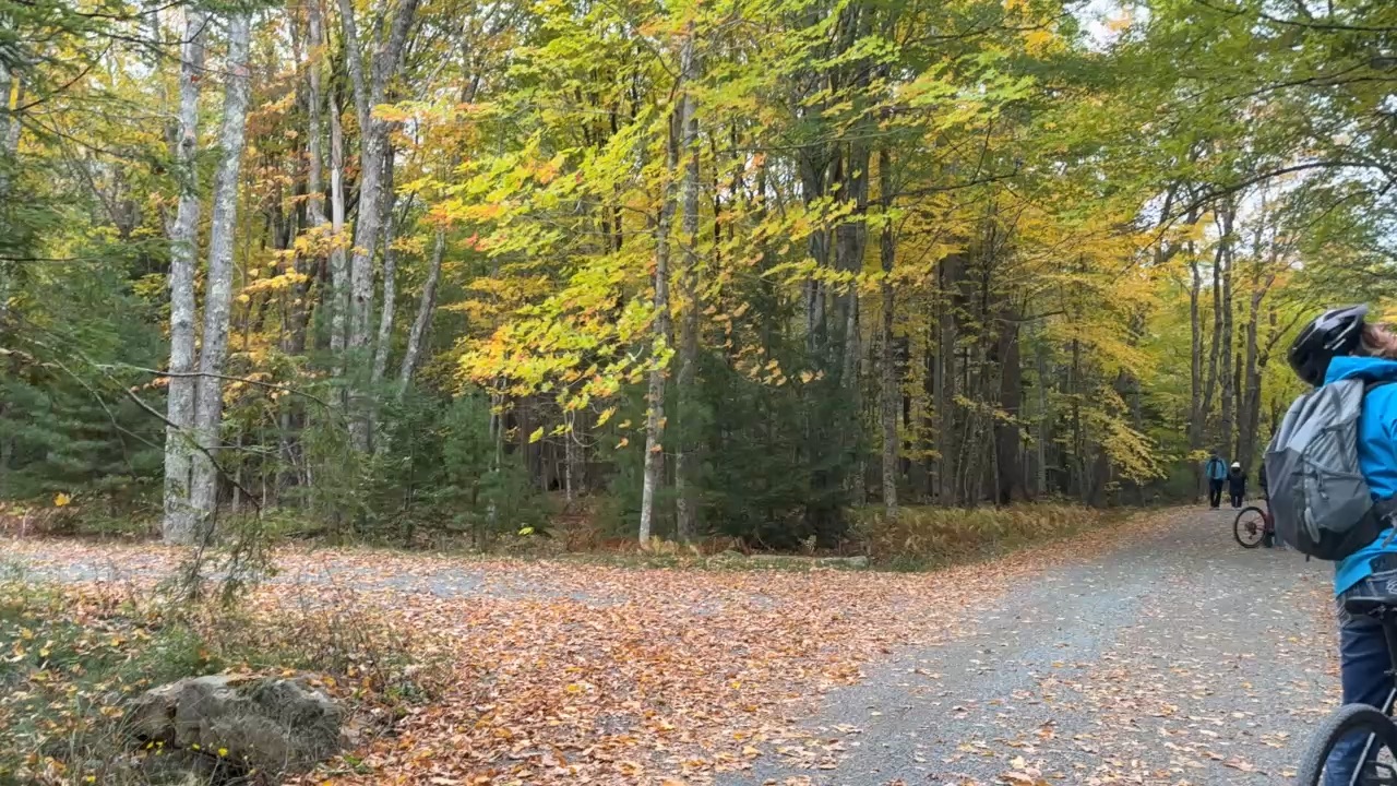 MAINE