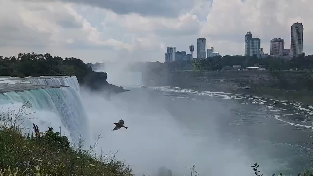 Niagara Falls