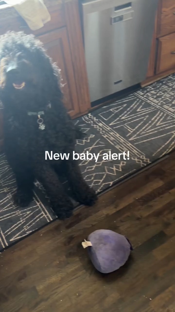 New baby alert