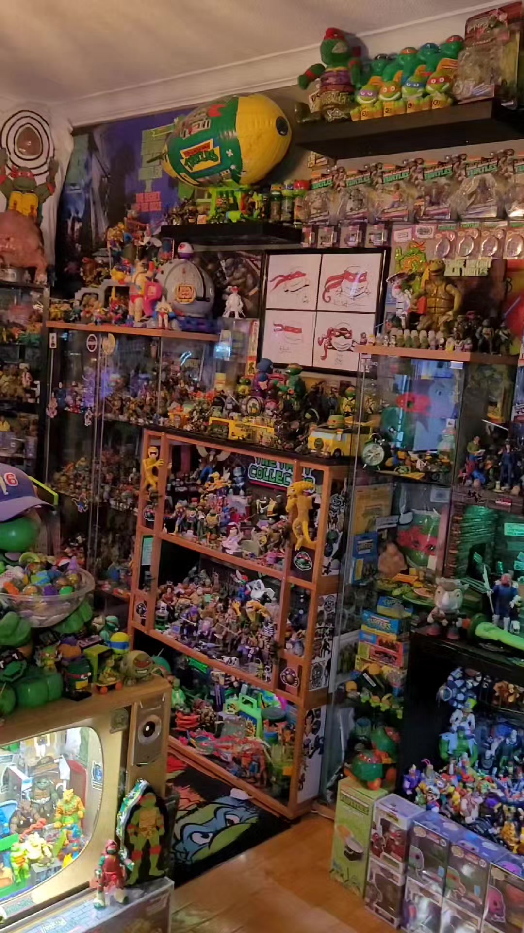 What do you collect? 👀 Use this audio to show your collection 🫶🫶 #collector #passion #nostalgic #tmnt #80sbaby