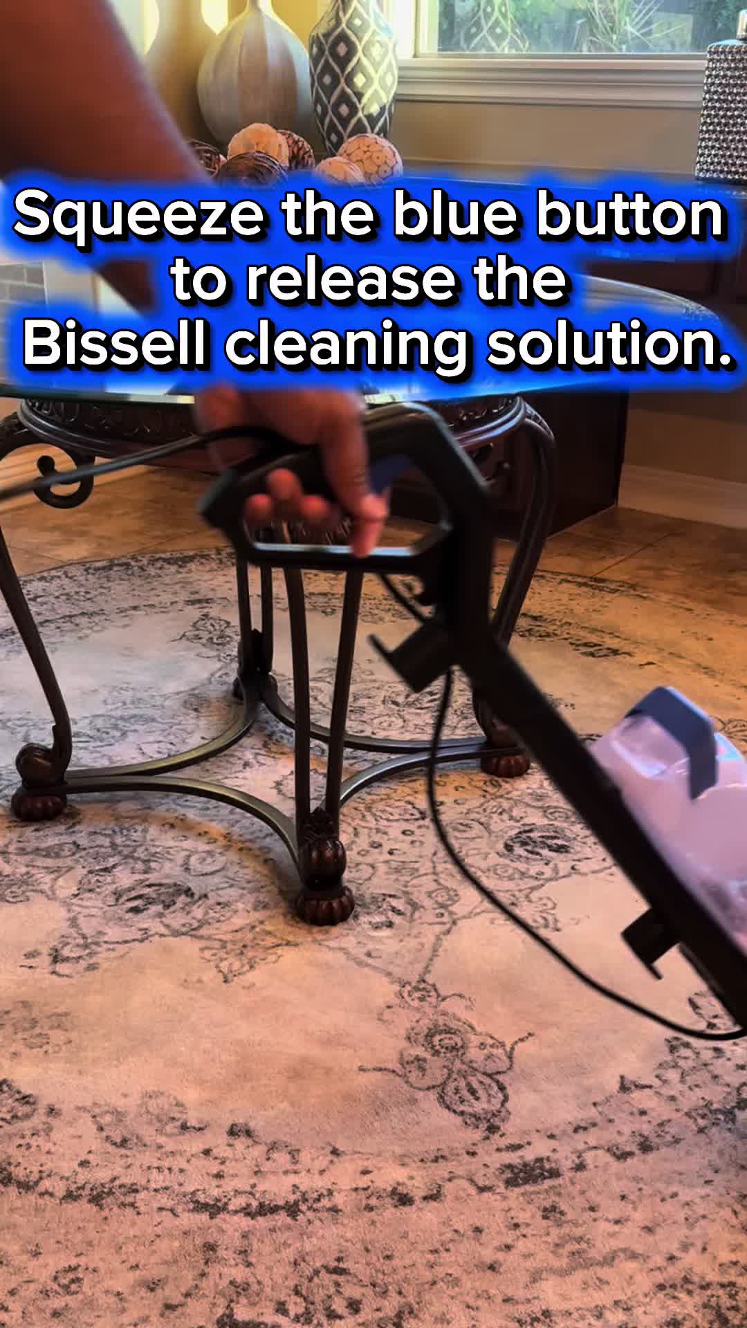 Dirty dog & rug… Bissell Turboclean Upright Carpet Cleaner to the rescue, which features a 4-Row DeepReach PowerBrush...