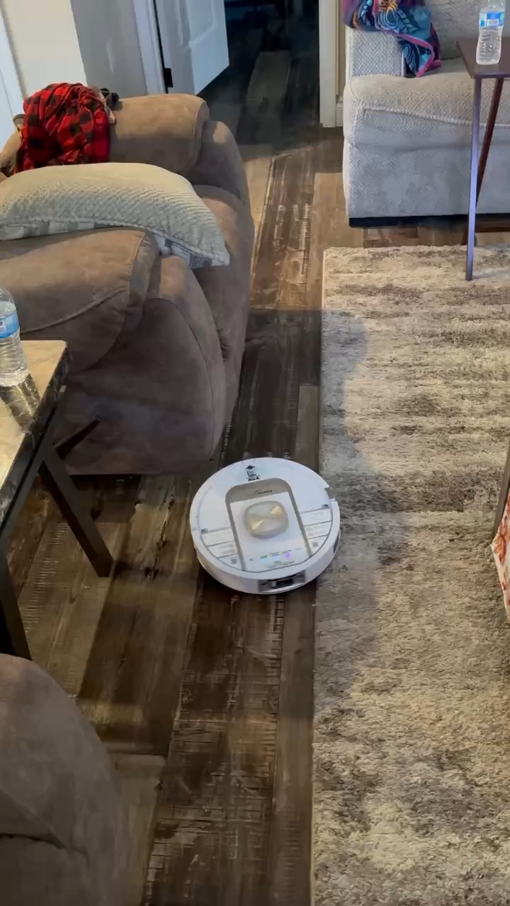 Shark vacuum