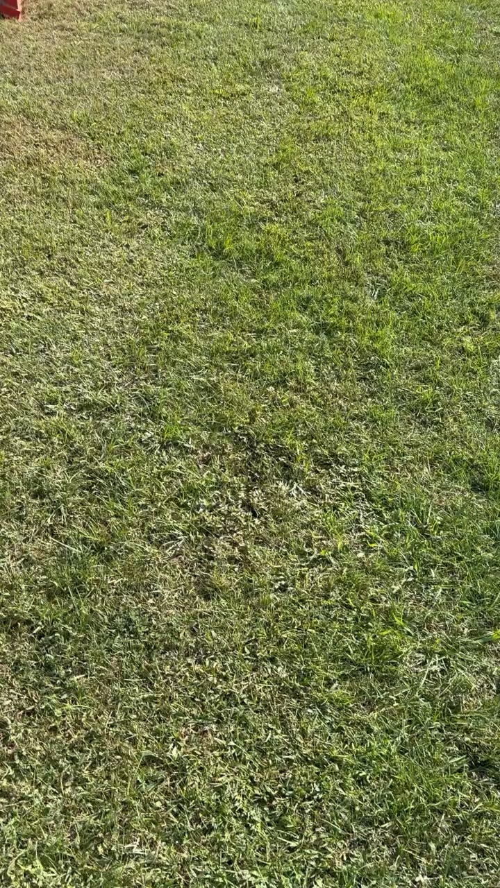 Kubota at work