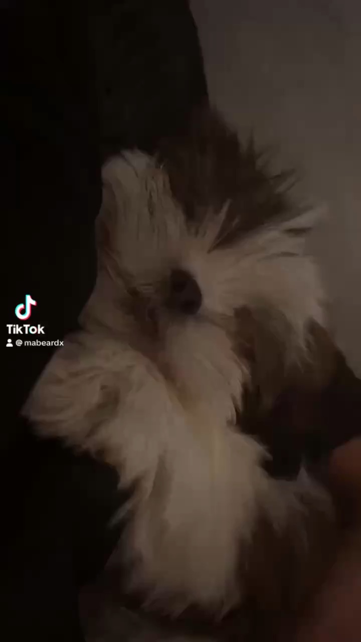 Love her so much 🥺🐾
