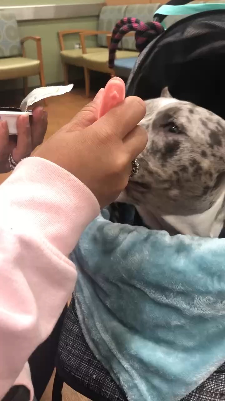 Dinna eating with a spoon