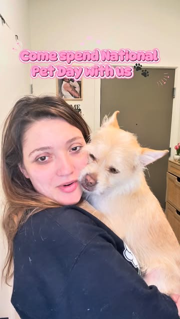 Come spend National Pet Day with me & Noodles 🐾🤍 These are some of her current favorites — if you have a pet you KN...