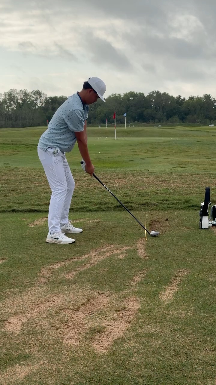 3 wood