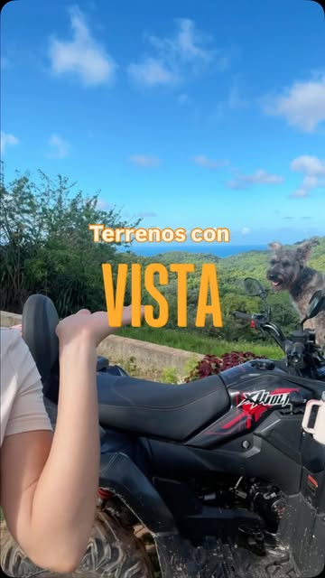 Sabías que en Samaná todavía existen terrenos desde US$60,000... y con esta vista? 🌴🌊 Comenta INFO si te interesó a...