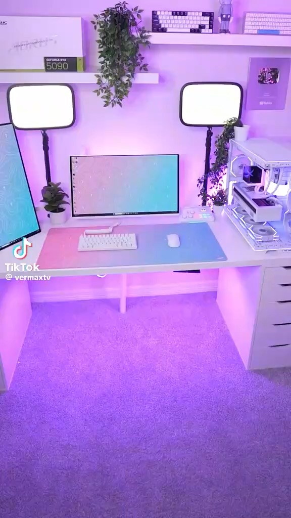 Mouse setup