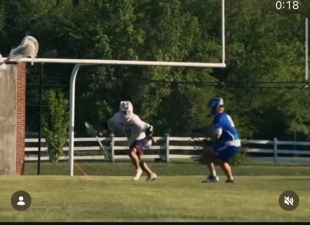 Lacrosse goal