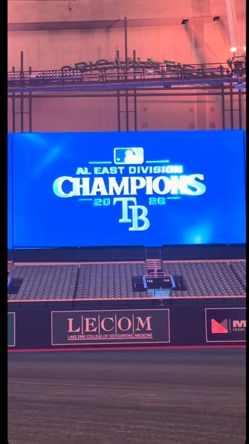 The Tampa Bay Rays will pick you apart if you let them! #baseball #mlb #tampabay #tampabayrays #explore