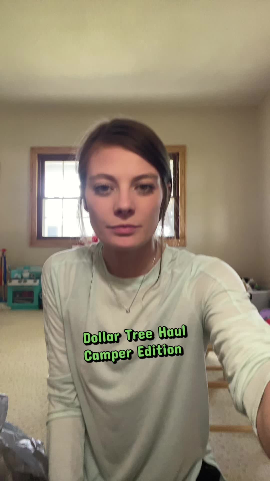 Dollar tree haul. Camper edition. We got a new camper and I purged through my house yesterday and made a list of thin...