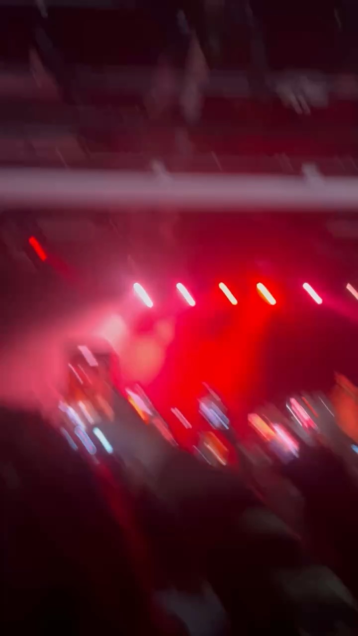 I went to the nine vicious concert and had a blast