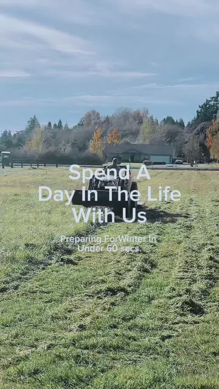 Going back to a simpler life is not a step backwards ❤️ #fyp #fypシ #sahm #country #farmlife #farming #farm #mom #moms...