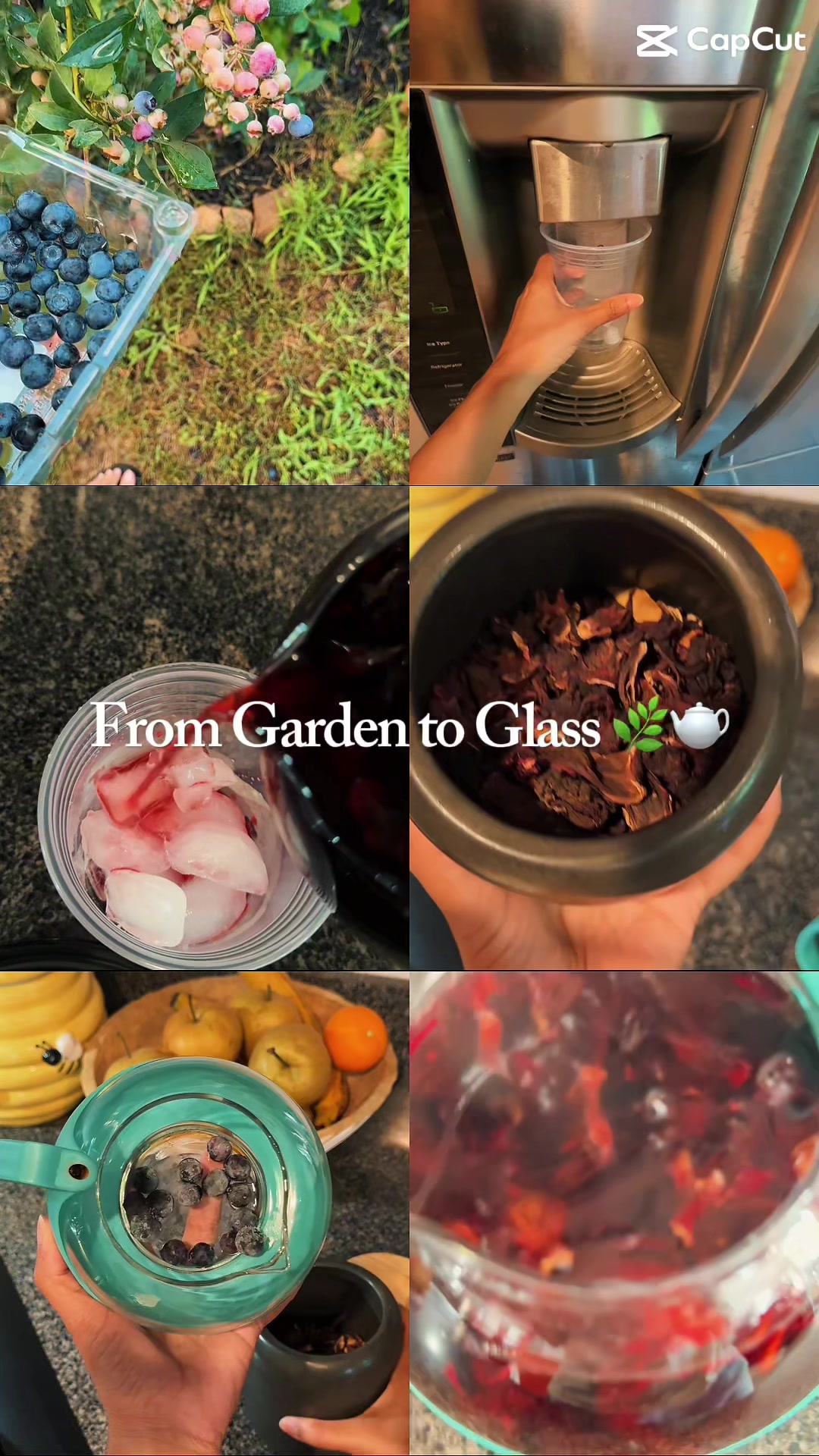 Garden to glass 🌿 Blueberries + hibiscus + monk fruit = my new favorite afternoon drink. Recipe below if you want it...