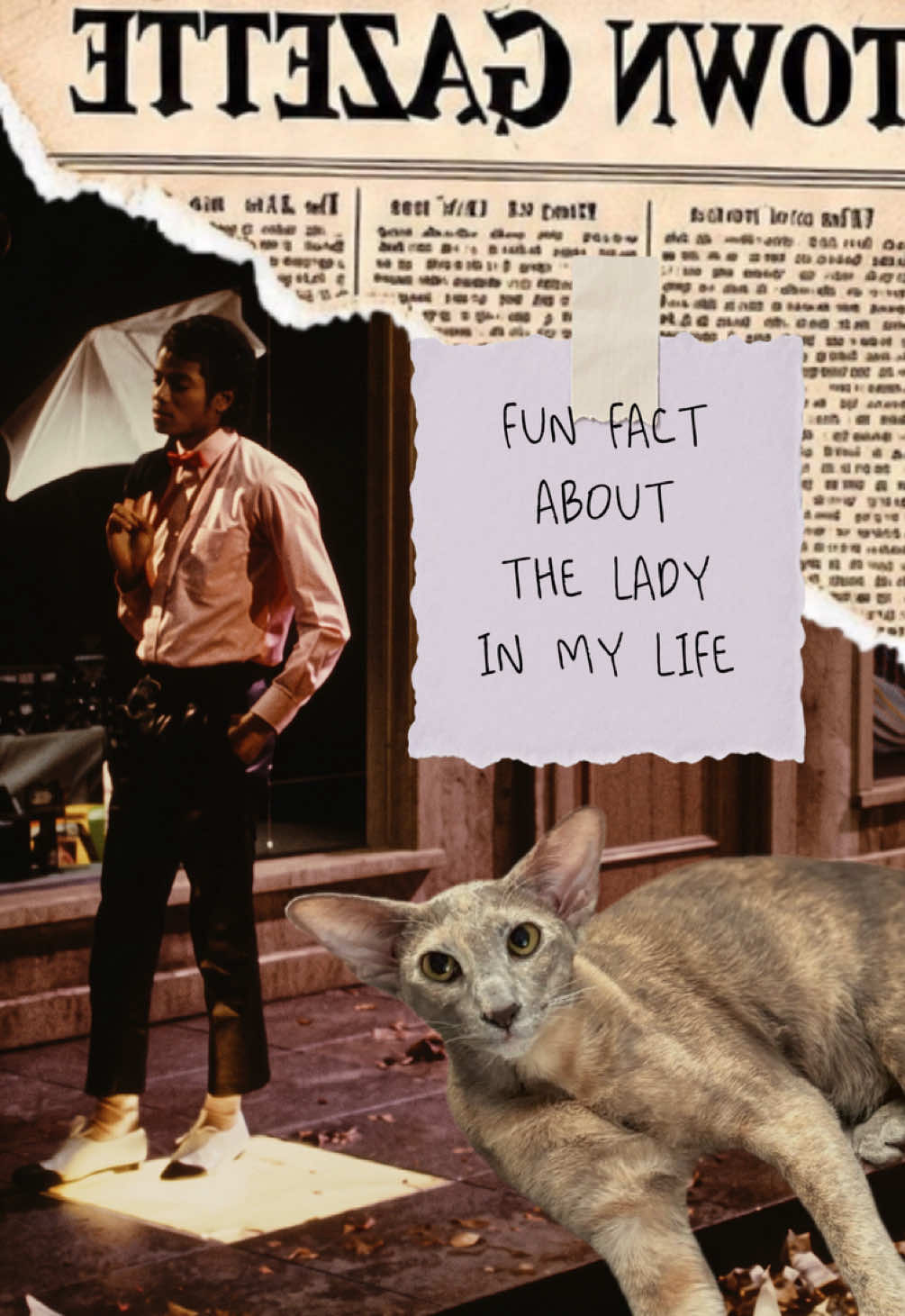did you catch any references? 👀👟🌟 we’re clearly huge fans of our #orientalshorthair and #michaeljackson ❤️🎶 80s b...