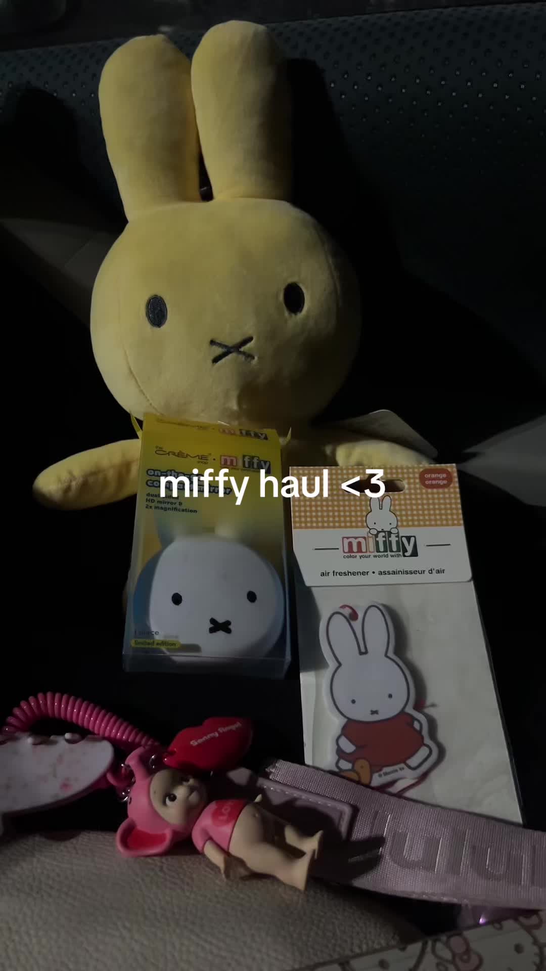 💛🌟🐇 #miffy #miffyandfriends #miffybunny #miffy好きと繋がりたい #miffycollection #miffylover #fyp #foryoupage #tjmaxx