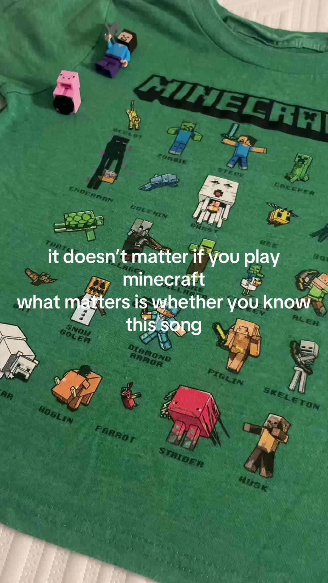 the golden era of minecraft 🧍🏼‍♀️#minecraft #nintendoswitch#minecraftmemes #creeper #gamer #gamergirl #videogames #...