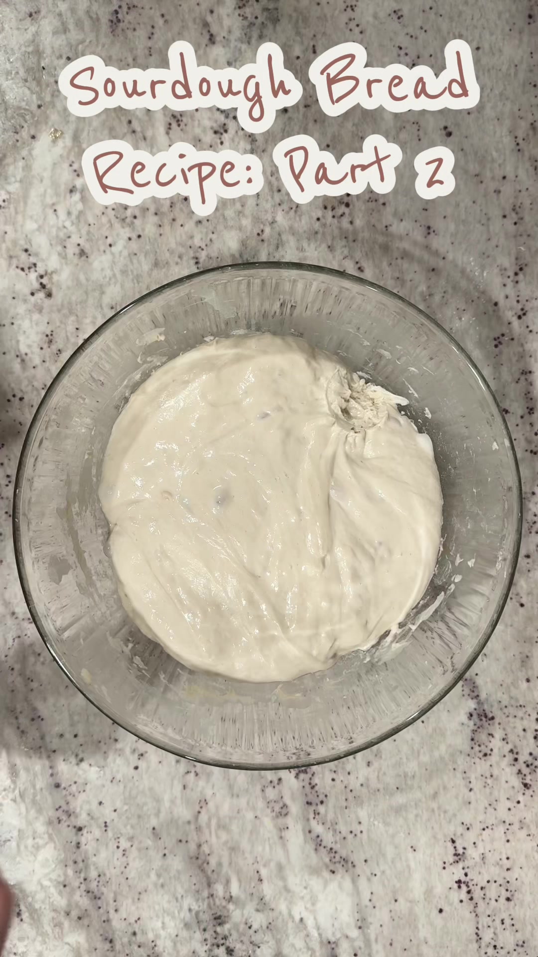 SOURDOUGH BREAD — PART TWO 🍞 Now for the part that makes the crust SO good. Once your loaf has finished its cold fer...