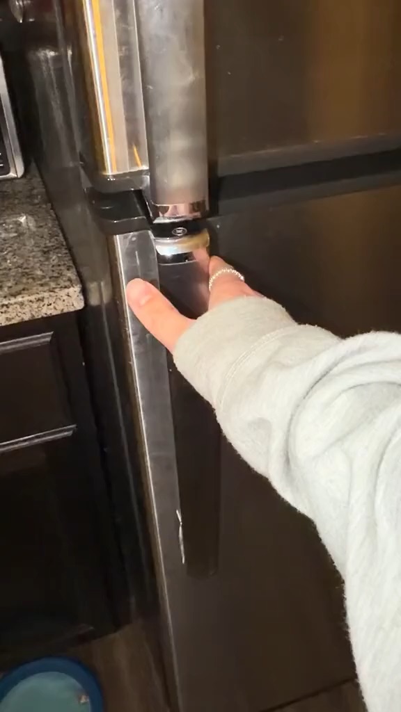 Fresh Pet