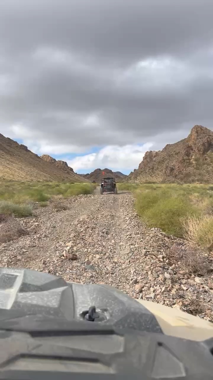 Mohave