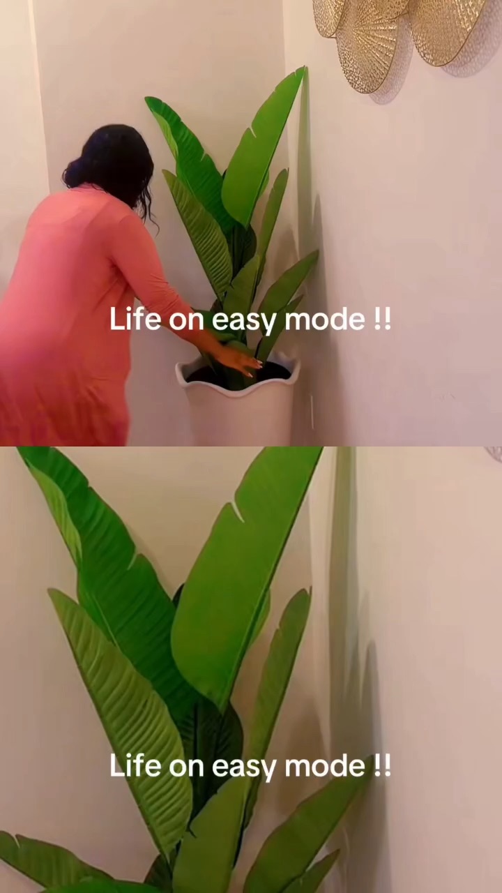 No maintenance tree