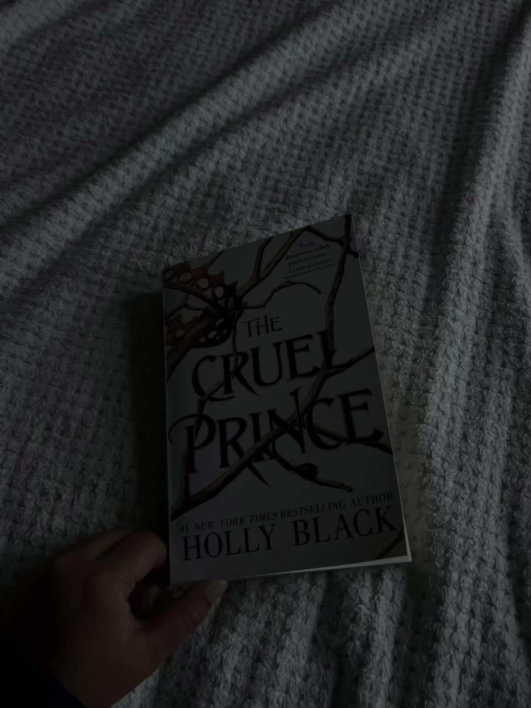 Who knows where this going to take me? #book #booktok #thecruelprince #thecruelprincehollyblack #hollyblack #cruelpri...