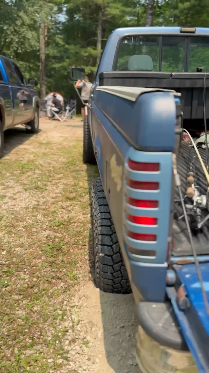 Dig
