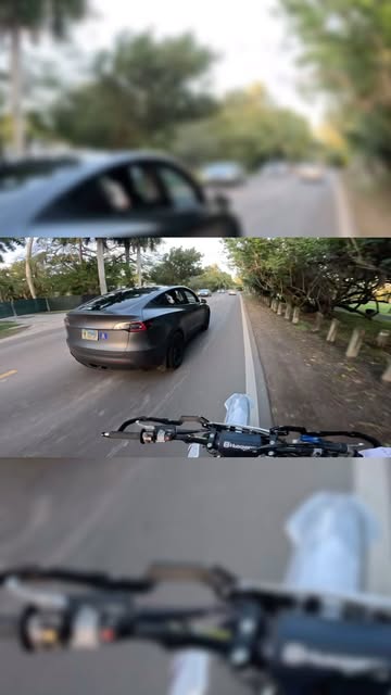 The dog said hi back 😭 #husqvarna #supermoto