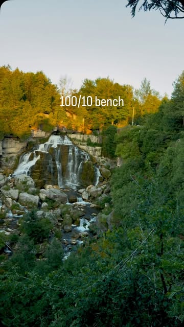 100/10 bench ontario #fyp #bench #nature #onatrio #tobermory