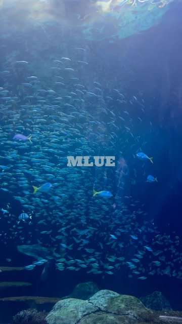 need a little more MLUE in my life 🌊 [ blue, nature, mountains, ocean, sea, wave, photography, videography, landscap...