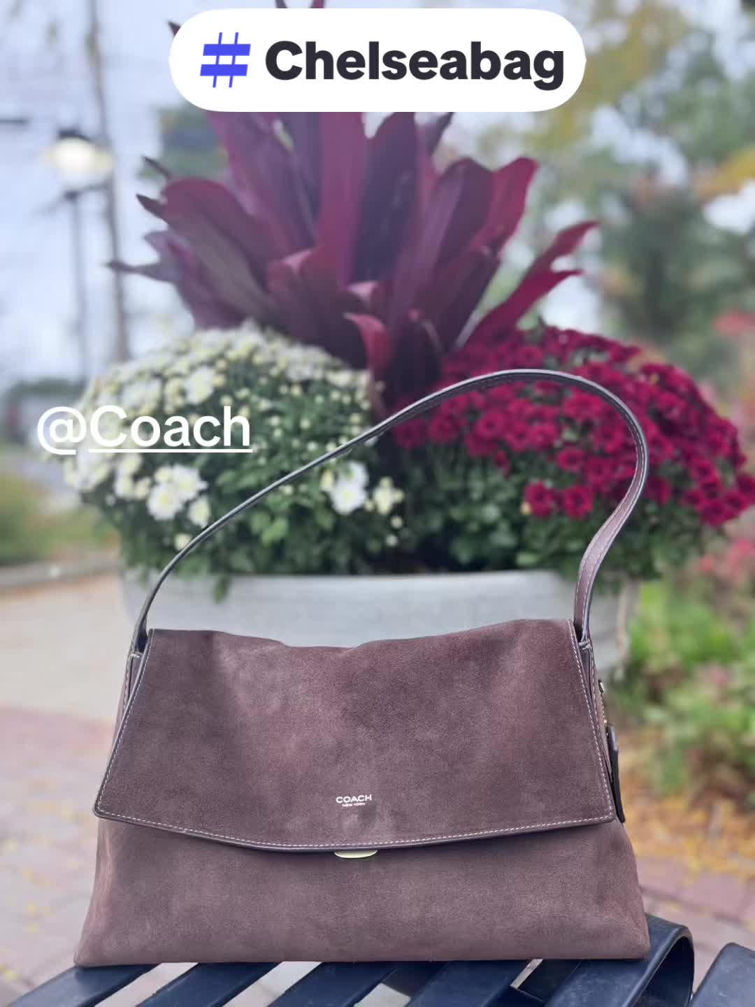 #CapCut #fall #musthaves #chelseabags @Coach