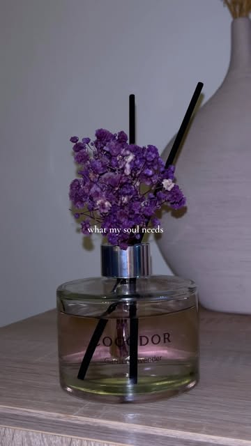 I stopped buying candles and my apartment still smells amazing. ✨🏡 Available on Amazon and TikTok Shop! 🪻🍃 @cocodo...