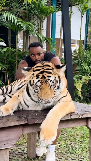 I get super comfortable in these situations lol #solotravel #thailand 🐅🇹🇭