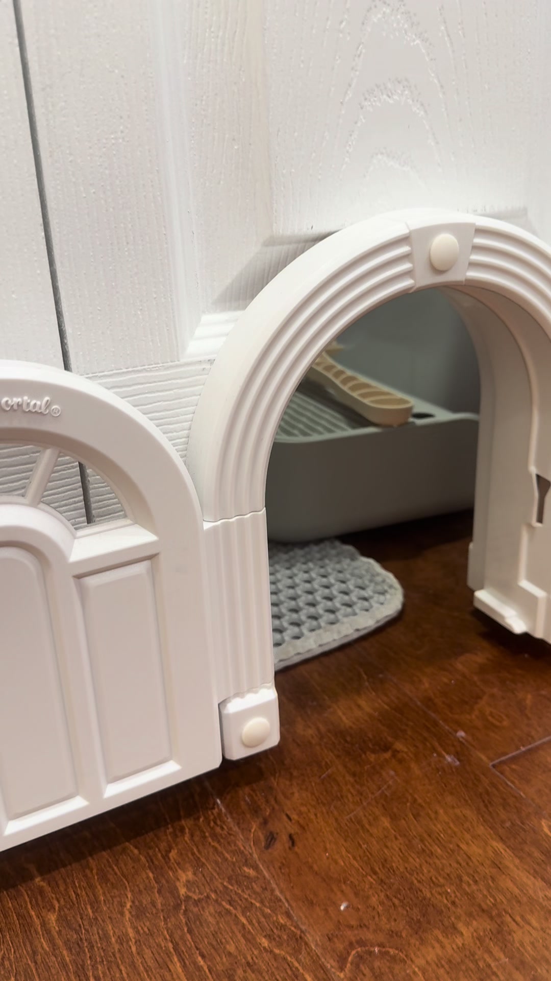 Perfect little cat door! Protected my cats stuff from the house and the dog! #catdoor #catsoftiktok #kitty #catmustha...