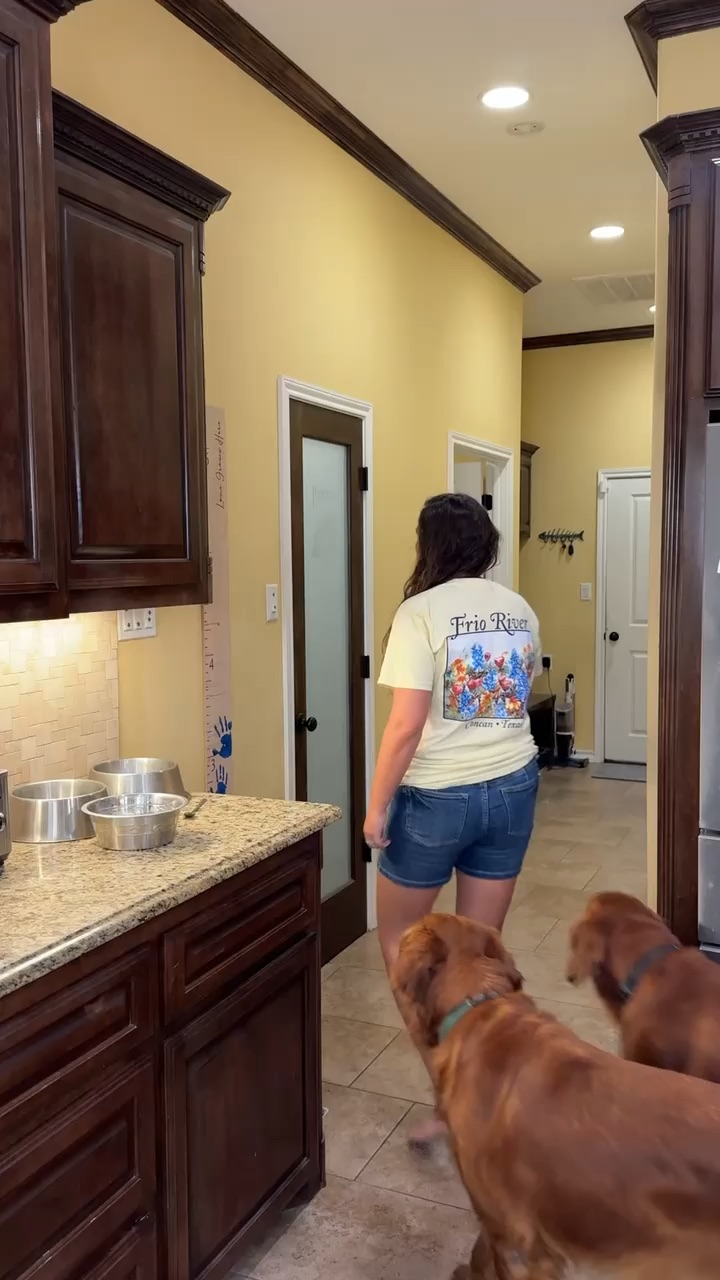 Dog Food UGC