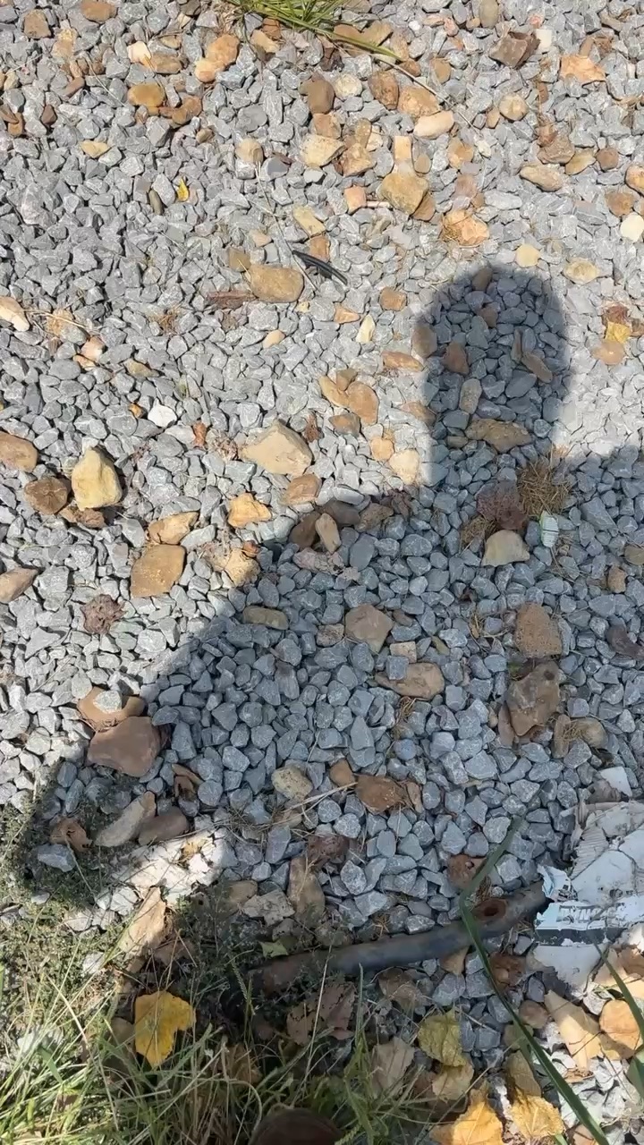 My T-rUcK