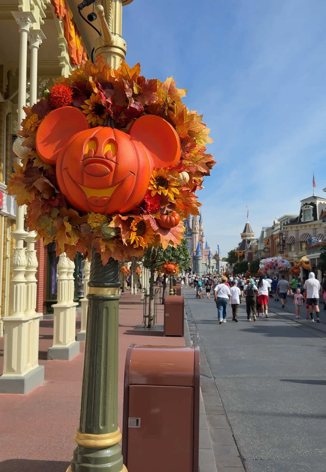 Fall at Disney is something else.🍂🍁🎃#fallatdisney #fallatdisneyworld #disneyworld #disneyparks @Disney Parks
