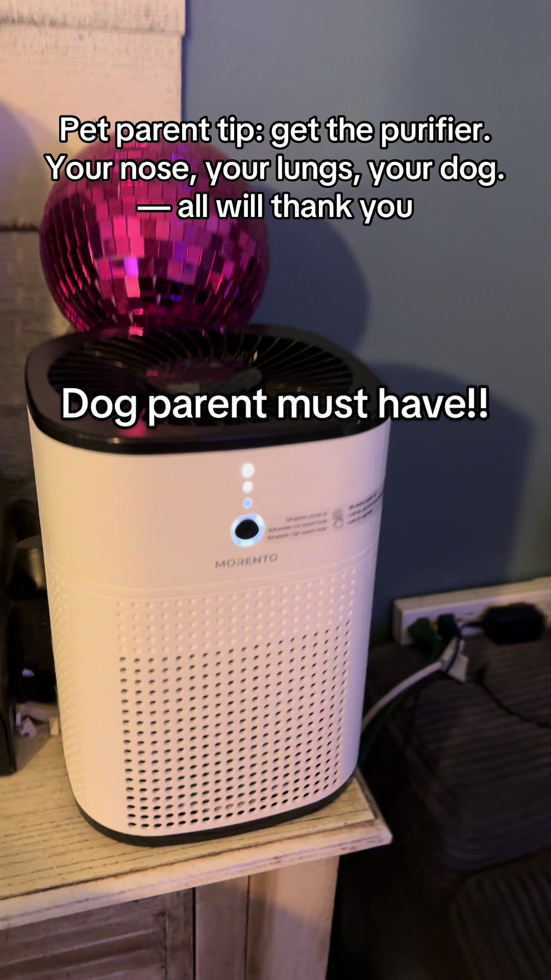 Dog owner must have!!🐾🐾 I got two!! 👏🏼👏🏼 . . . . . . #creatorsearchinsights #airpurifier #doglife #freshair #pe...
